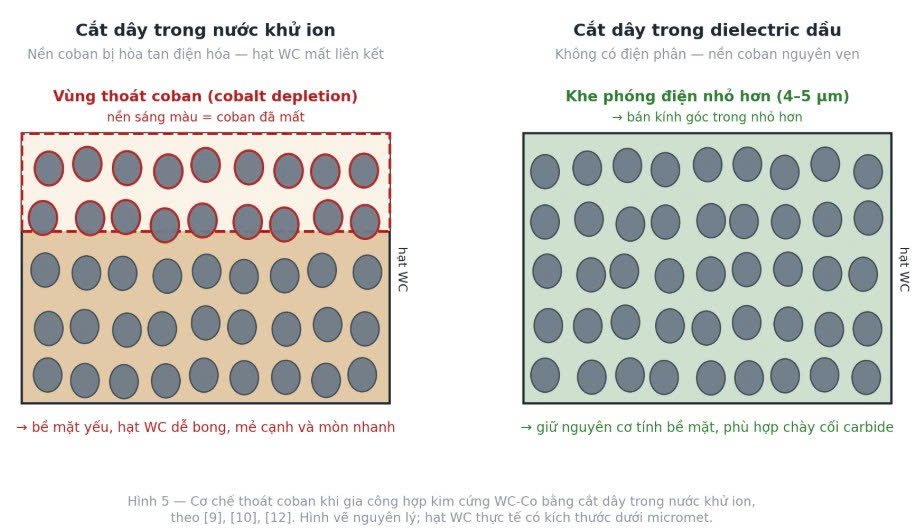 cat-day-EDM-hop-kim-cung-trong-nuoc-va-trong-dau